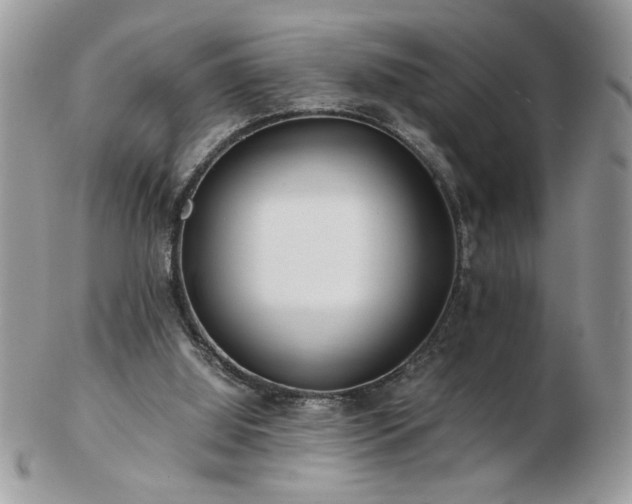 X0000102820060200808251120