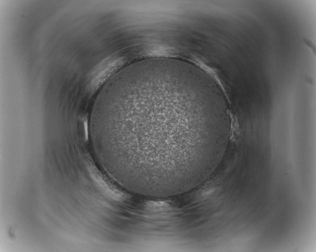 X0000102820061200808251120