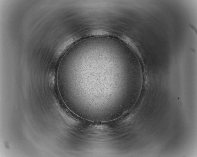 X0000102820063200808251120
