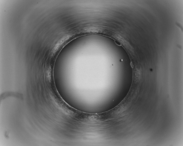 X0000102820064200808251120