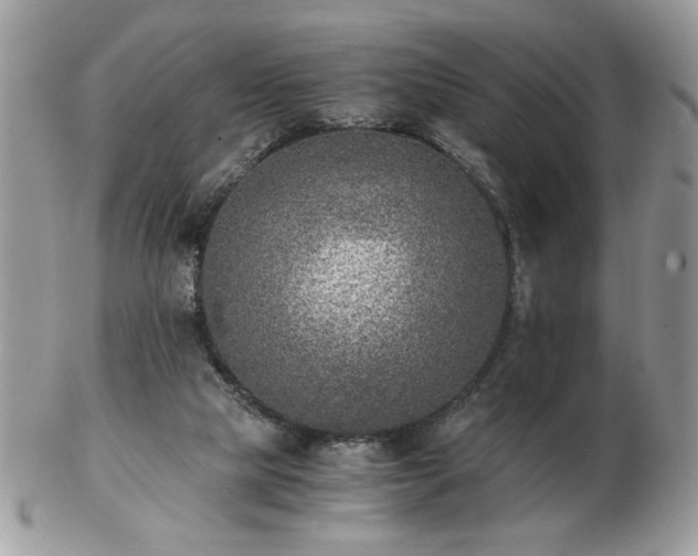 X0000102820065200808251120