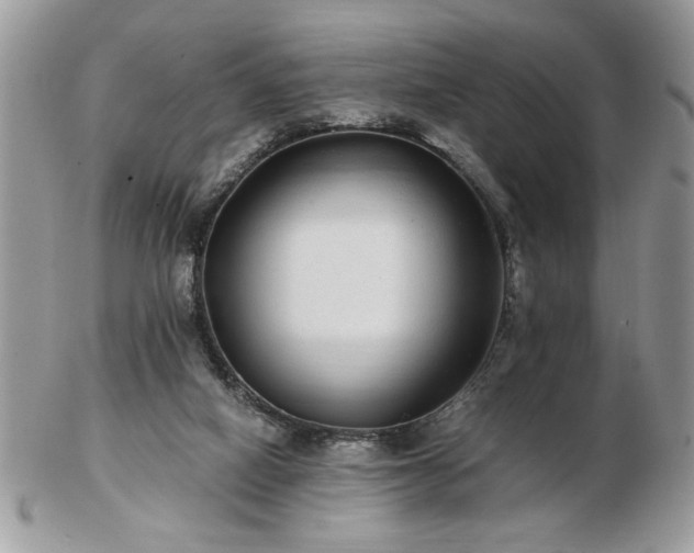 X0000102820066200808251120
