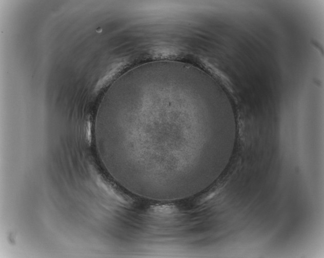 X0000102820067200808251120