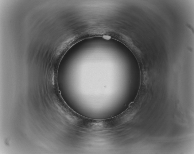 X0000102820068200808251120