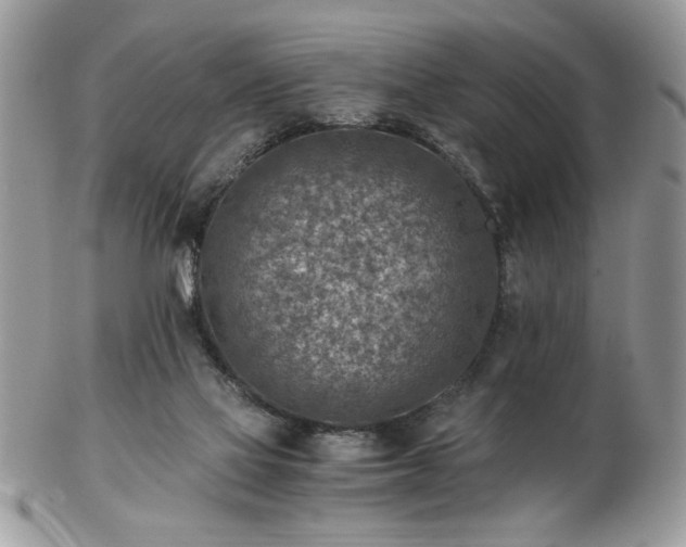 X0000102820069200808251120