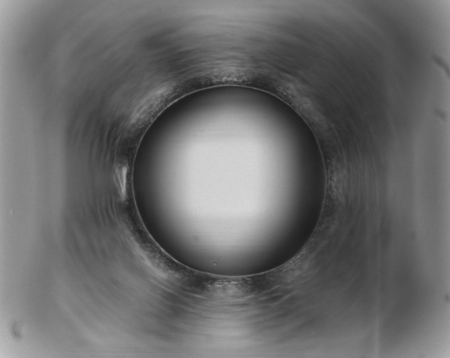 X0000102820070200808251120
