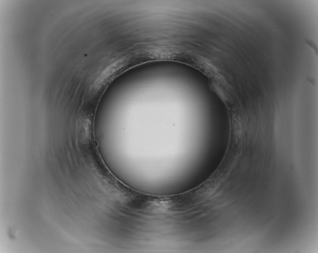 X0000102820071200808251120