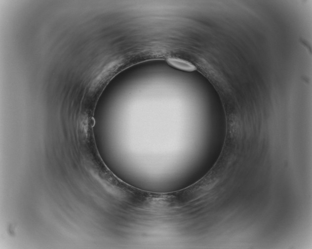 X0000102820072200808251120
