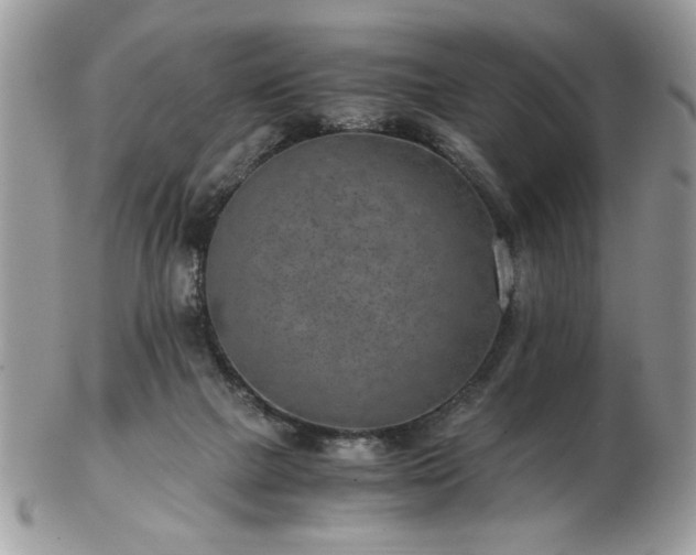 X0000102820073200808251120