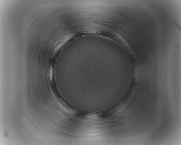 X0000102820076200808251120