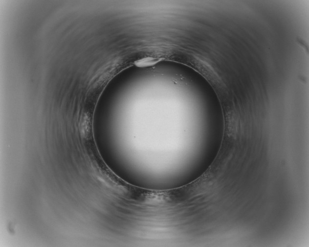 X0000102820077200808251120