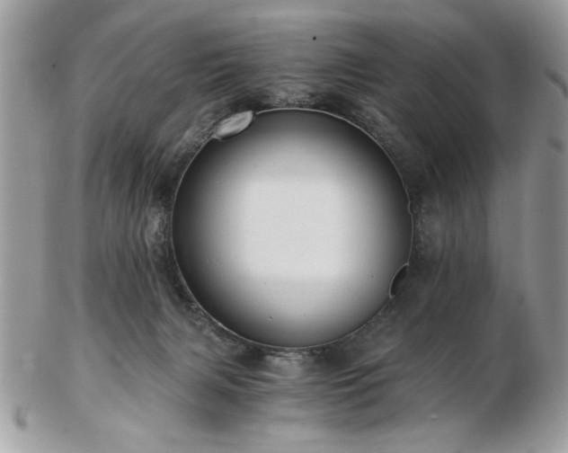 X0000102820079200808251120