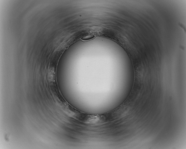 X0000102820083200808251120