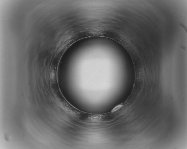 X0000102820084200808251120