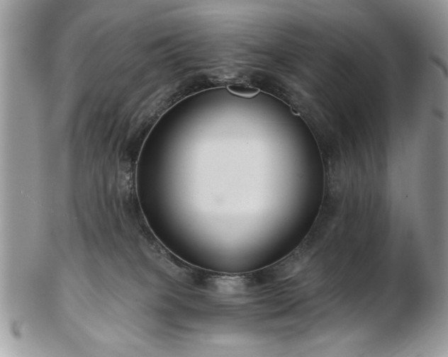 X0000102820085200808251120