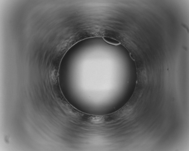 X0000102820088200808251121