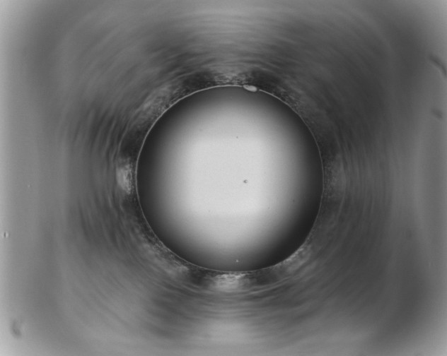 X0000102820090200808251121