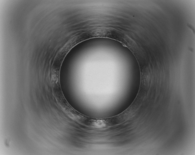 X0000102820091200808251121