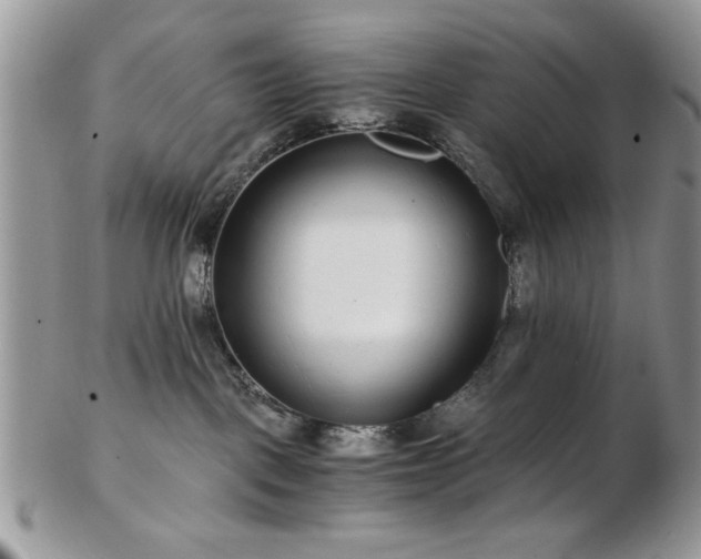 X0000102820093200808251121