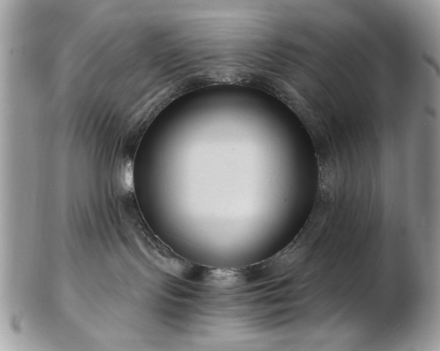 X0000102820095200808251121