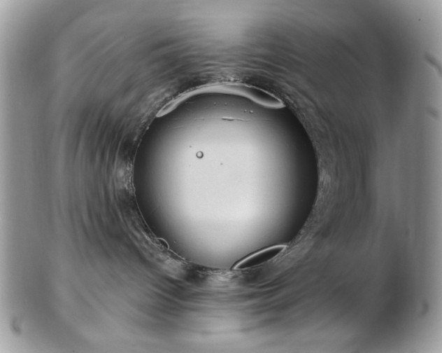 X0000102820096200808251121