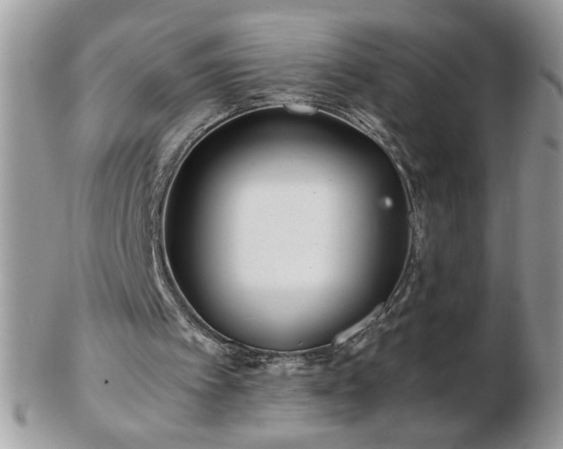 X0000102820097200808251120