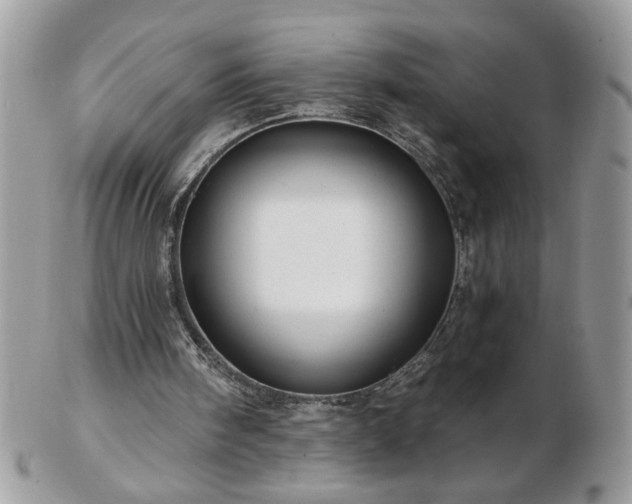 X0000102820098200808251120