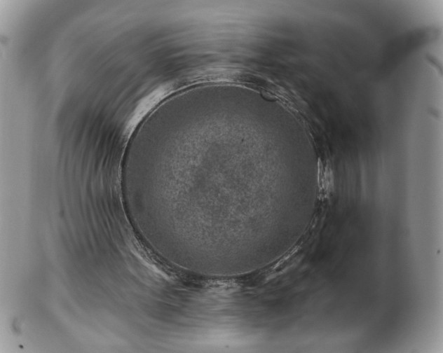 X0000102820099200808251120