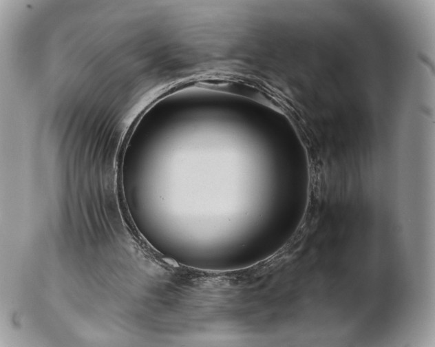 X0000102820100200808251120