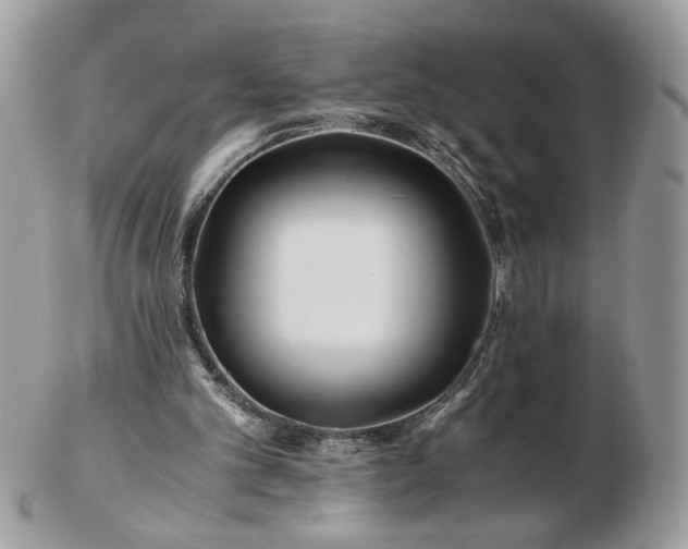 X0000102820101200808251120