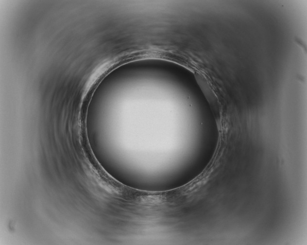 X0000102820102200808251120