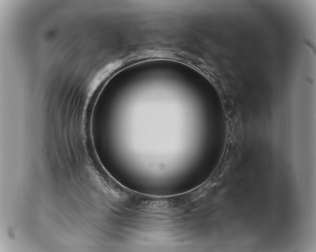 X0000102820104200808251120
