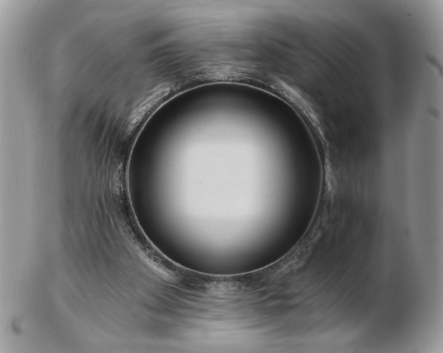 X0000102820105200808251120