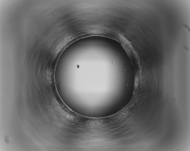 X0000102820106200808251120