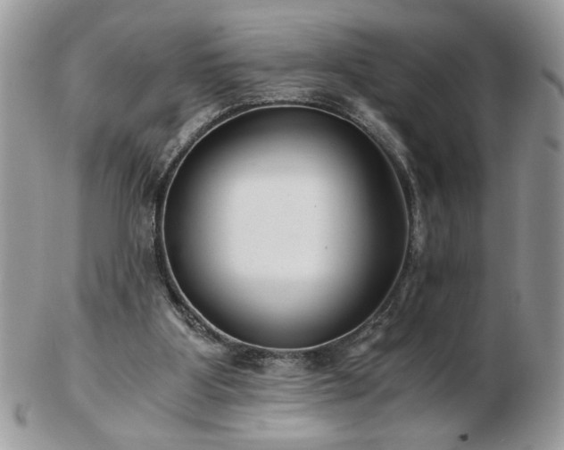 X0000102820107200808251120