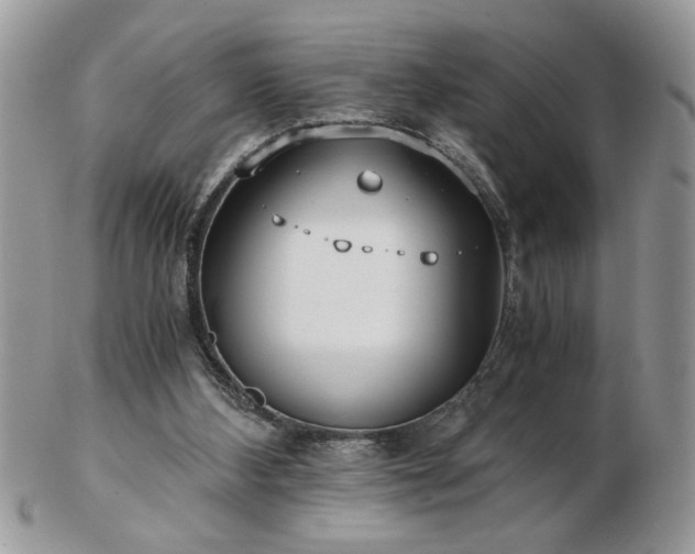 X0000102820108200808251120
