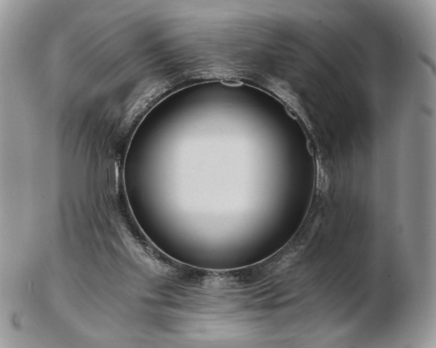 X0000102820109200808251120