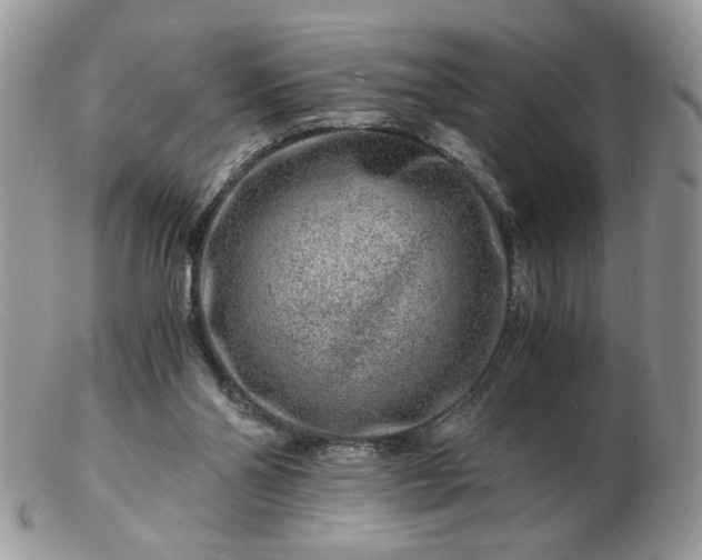 X0000102820110200808251120