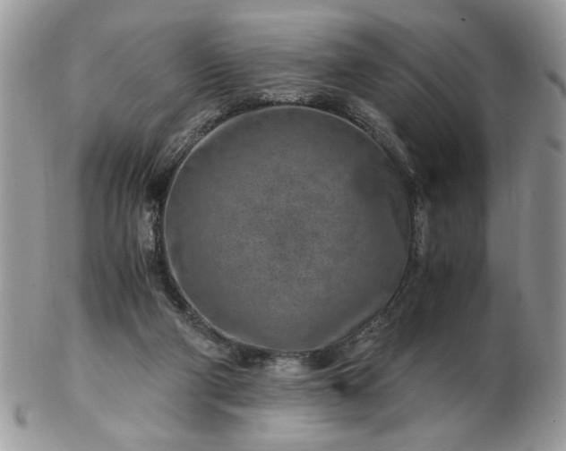 X0000102820114200808251120