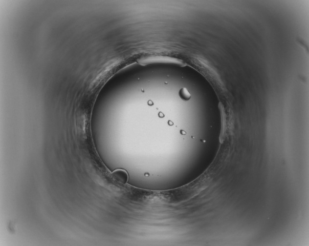 X0000102820115200808251120
