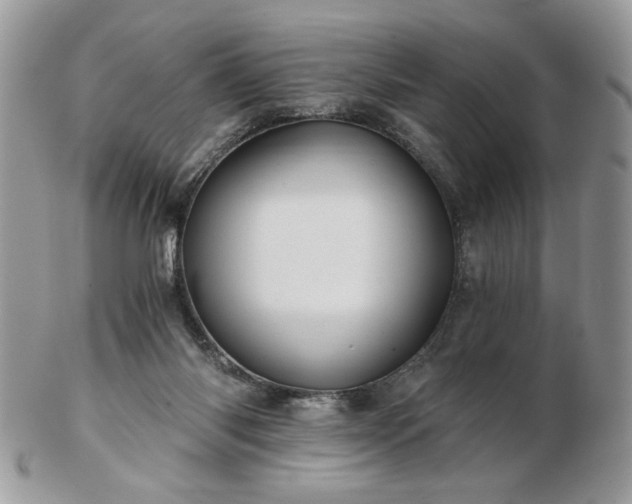 X0000102820118200808251120