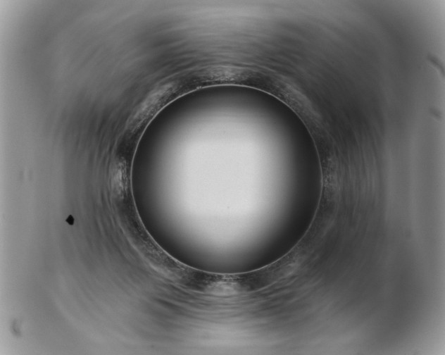 X0000102820119200808251120