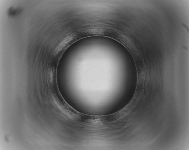 X0000102820120200808251120