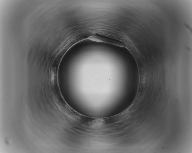 X0000102820124200808251120