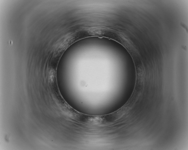 X0000102820125200808251120