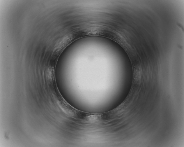 X0000102820126200808251120