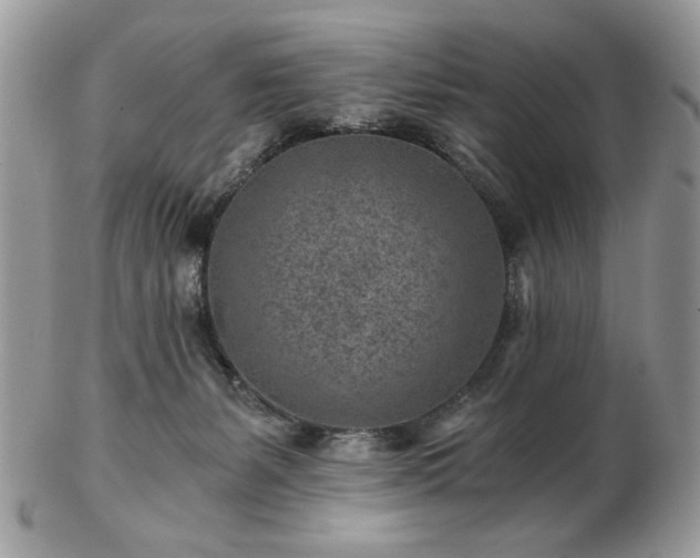 X0000102820127200808251120