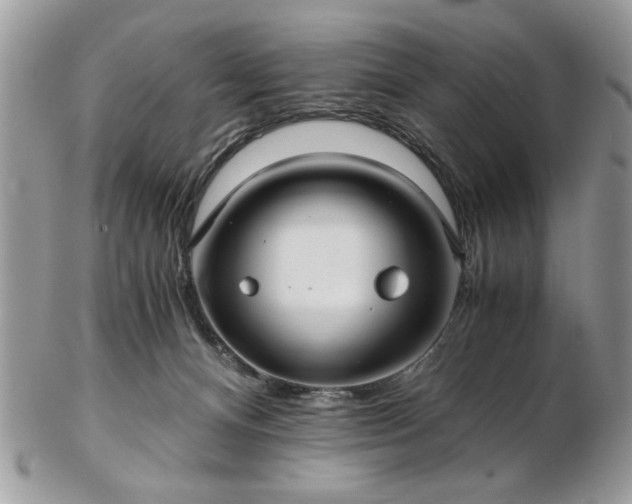X0000102820128200808251120
