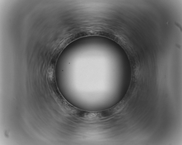 X0000102820129200808251120