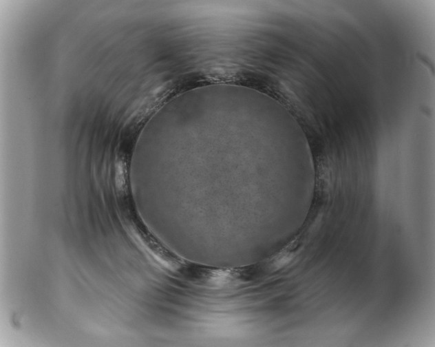X0000102820130200808251120